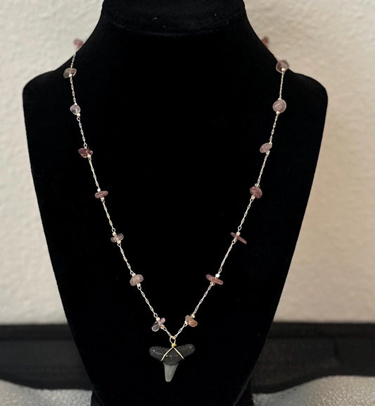 Fossil Shark Tooth Necklace with Strawberry or Turquoise Natural Stone Accents