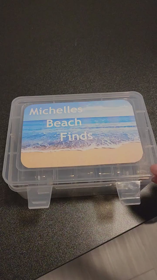 Customizable Beach Finds Organizer: Shark Tooth Holder